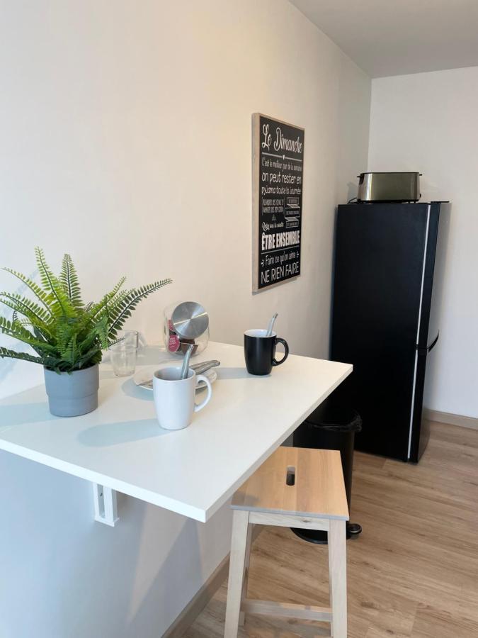 Appartement Du Grand Parc Châteauroux 외부 사진